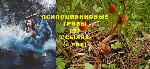 эйфоретик Алзамай