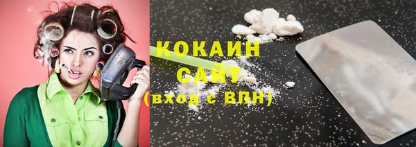 крисы Алексин