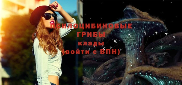 эйфоретик Алзамай