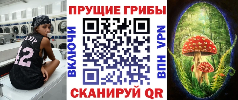 магазин  наркотиков  кракен онион  Псилоцибиновые грибы ЛСД  Чёрмоз 